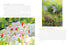 WILDFLOWERS OF THE WEST: AN ARTIST'S GUIDE - HASHIMOTO. MOLLY